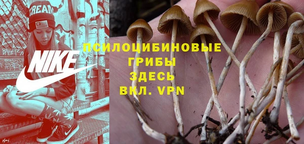 соль ск Балабаново