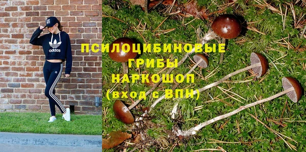спайс Балахна