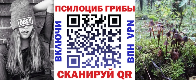 Псилоцибиновые грибы Psilocybe  MEGA сайт  Геленджик 